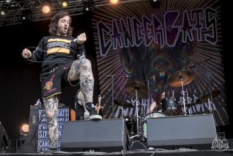 Cancer_Bats_001